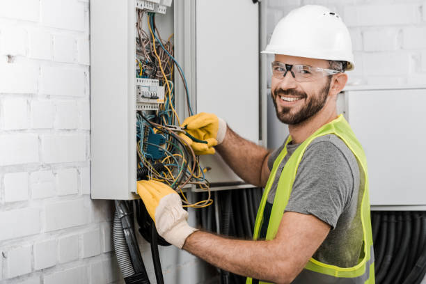 Best Ceiling Fan Installation Electrician  in Sauk Vlage, IL