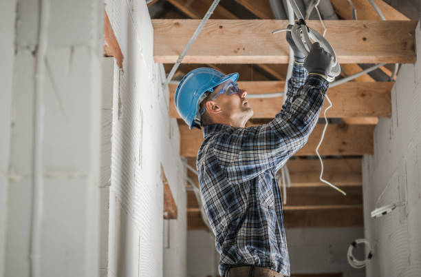 Best Electrical Repair Services  in Sauk Vlage, IL