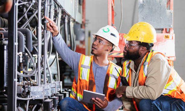Best Electric Panel Repair  in Sauk Vlage, IL