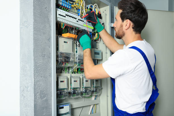Best Home Electrical Repair  in Sauk Vlage, IL